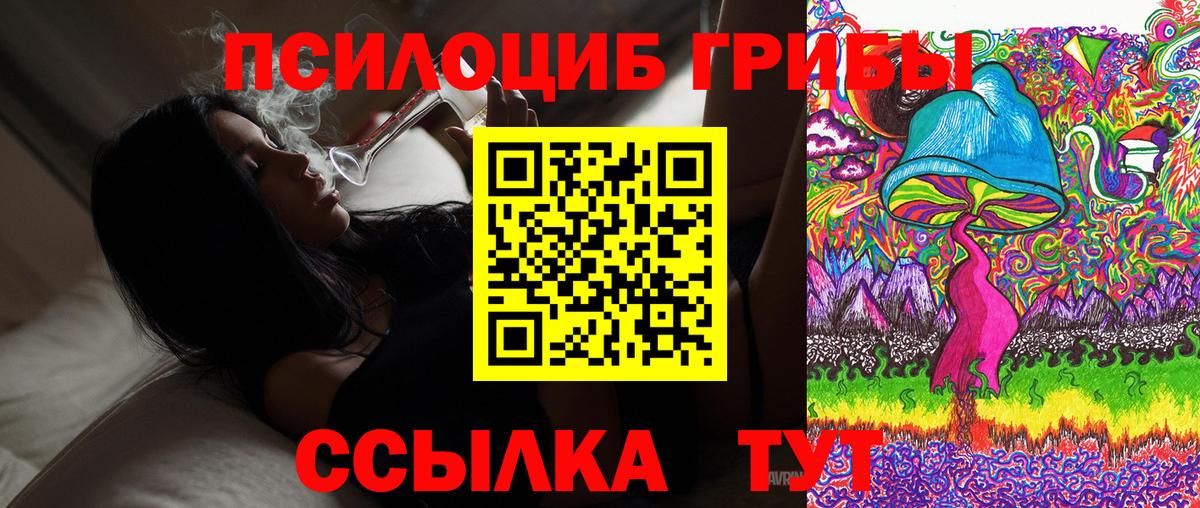 Псилоцибиновые грибы GOLDEN TEACHER  Псилоцибиновые грибы MAGIC MUSHROOMS  Вход с VPN  как найти закладки  Мичуринск 