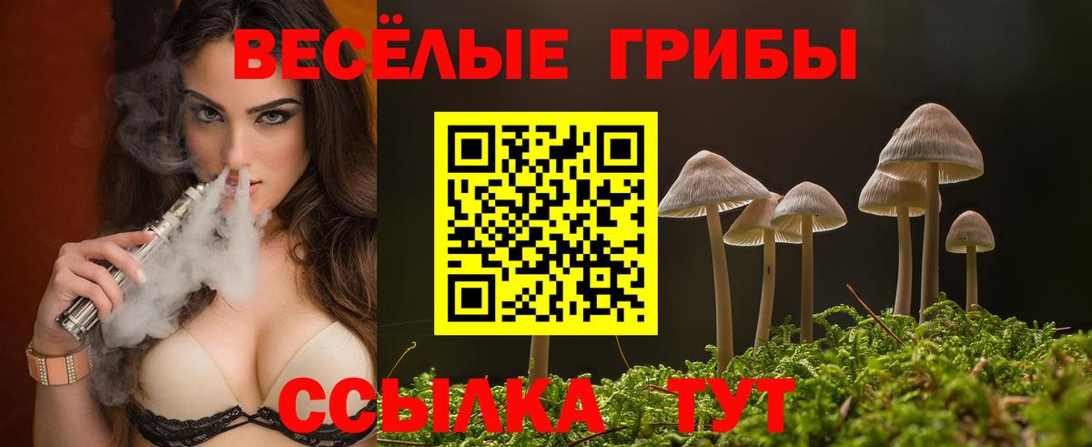 Галлюциногенные грибы Psilocybine cubensis Мичуринск