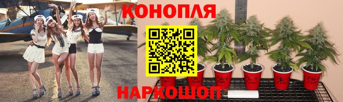 Шишки марихуана OG Kush Мичуринск